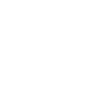 Neo Logo